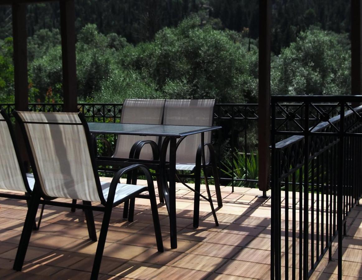 House Of Garden Apartment