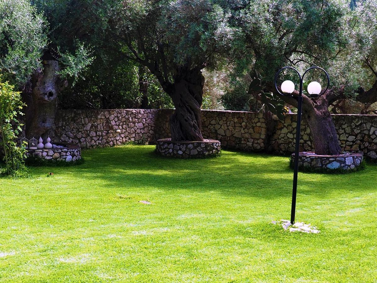House Of Garden * Dragano